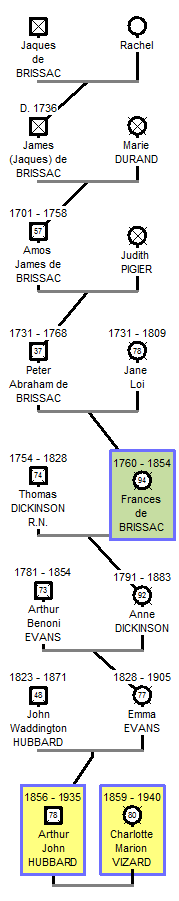 brissaconnectree