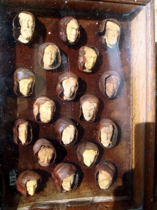 chestnut faces